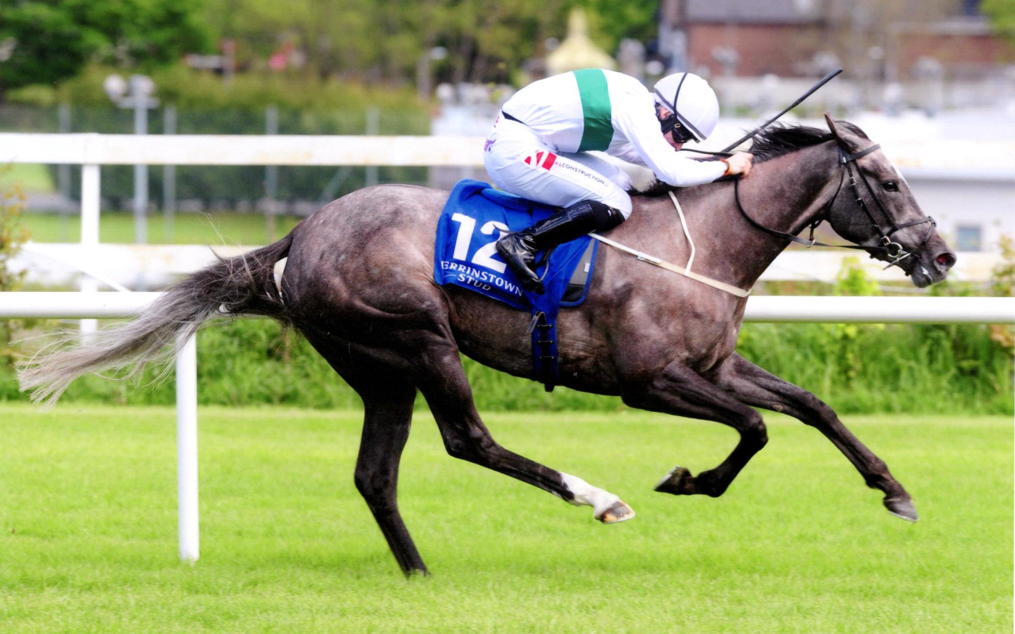 WHO'S STEPH clocks up her 2nd Group 3 win in the Derrinstown Stud 1,000 Guineas Trial - Leopardstown